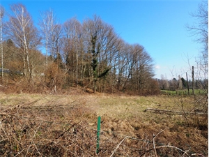 terrain à la vente -   90200  GIROMAGNY, surface 2547 m2 vente terrain - UBI380051995